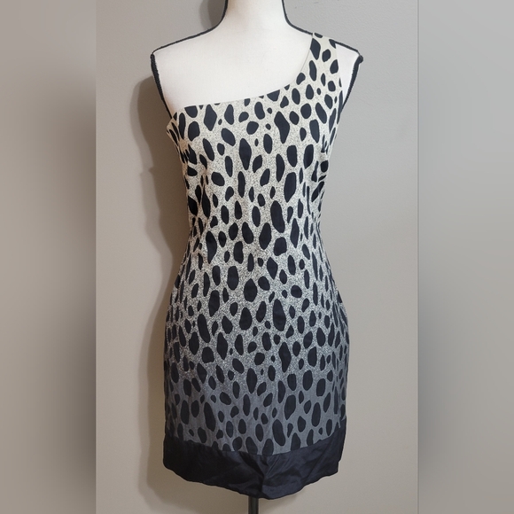 JAYGODFREY Dresses & Skirts - JAYGODFREY Villepin One Shoulder Ombre Dress